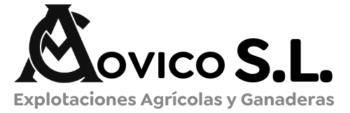 covicohellin.es